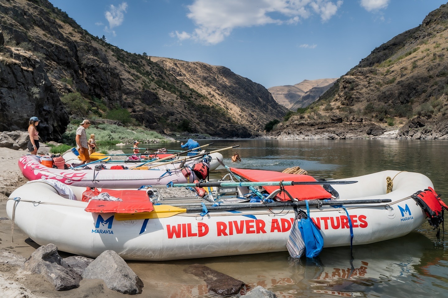 Rafts parked on the side of the river bank