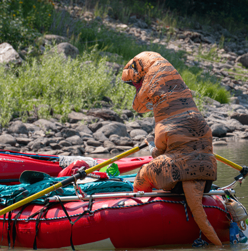 Dinosaur rafting