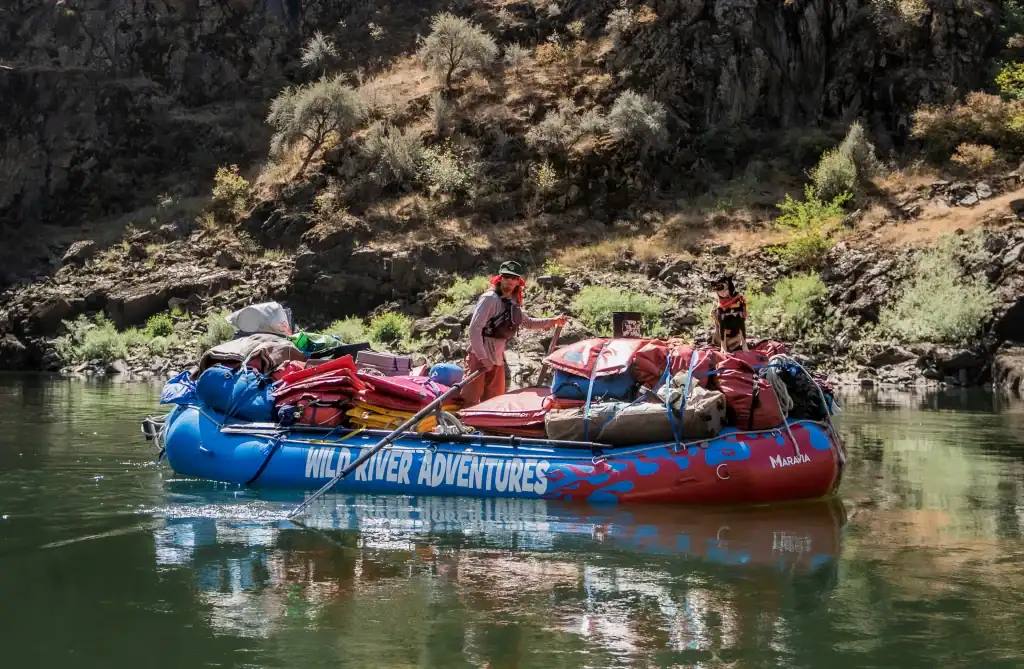 Man and dog rafting